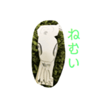フクロウ手描き（個別スタンプ：3）