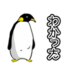 素直なペンギンスタンプ（個別スタンプ：1）
