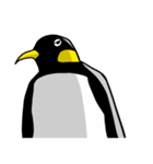 素直なペンギンスタンプ（個別スタンプ：16）