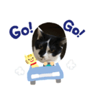 猫大好き❤家族物語（個別スタンプ：4）