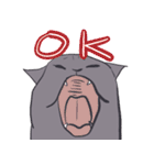 ハゲネコ（個別スタンプ：1）