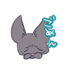 ハゲネコ（個別スタンプ：7）