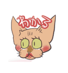 ハゲネコ（個別スタンプ：14）