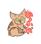 ハゲネコ（個別スタンプ：19）