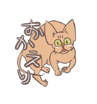 ハゲネコ（個別スタンプ：20）