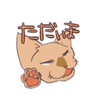 ハゲネコ（個別スタンプ：21）