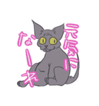 ハゲネコ（個別スタンプ：30）