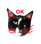 簡単ねこ語（個別スタンプ：6）