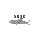 イルカ クジラ（個別スタンプ：6）