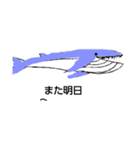 イルカ クジラ（個別スタンプ：8）