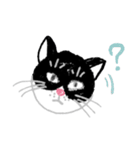 しろくろの猫（個別スタンプ：5）