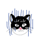 しろくろの猫（個別スタンプ：17）