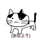 うちのニャースら（個別スタンプ：1）