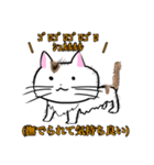 うちのニャースら（個別スタンプ：5）