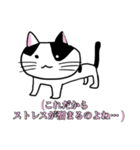 うちのニャースら（個別スタンプ：13）