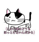 うちのニャースら（個別スタンプ：16）