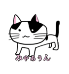 うちのニャースら（個別スタンプ：19）