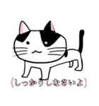 うちのニャースら（個別スタンプ：22）