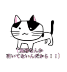 うちのニャースら（個別スタンプ：28）