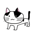 うちのニャースら（個別スタンプ：31）
