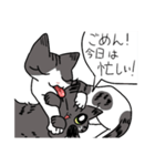ふくよかお嬢のぷりてぃすたんぷ（個別スタンプ：36）