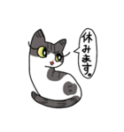 ふくよかお嬢のぷりてぃすたんぷ（個別スタンプ：37）