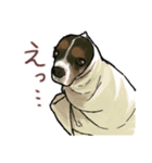キャバリア ひめちゃん（個別スタンプ：4）
