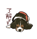 キャバリア ひめちゃん（個別スタンプ：9）