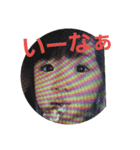 ますだ家スタンプ（個別スタンプ：8）