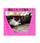 ねこねこgo！go！④（個別スタンプ：2）
