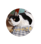 かりんandみゅう（個別スタンプ：2）