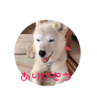 かりんandみゅう（個別スタンプ：5）