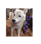 かりんandみゅう（個別スタンプ：8）