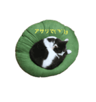 おったまなぁん（個別スタンプ：3）