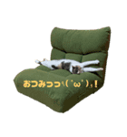 おったまなぁん（個別スタンプ：4）