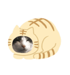 おったまなぁん（個別スタンプ：8）