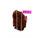 shelly1（個別スタンプ：4）