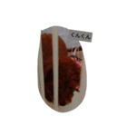 shelly1（個別スタンプ：8）