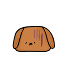おいなり 犬（個別スタンプ：8）