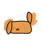 おいなり 犬（個別スタンプ：37）