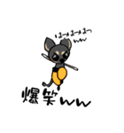 わんわんカンフー2（個別スタンプ：33）