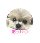 ぽぉたお＆くぅちゃん すたんぷ（個別スタンプ：1）
