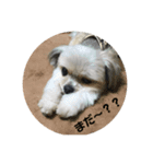ぽぉたお＆くぅちゃん すたんぷ（個別スタンプ：2）