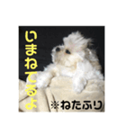 ぽぉたお＆くぅちゃん すたんぷ（個別スタンプ：4）