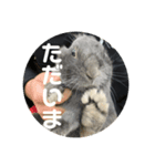 ぽぉたお＆くぅちゃん すたんぷ（個別スタンプ：6）