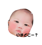 碧蘭たんスタンプ（個別スタンプ：3）