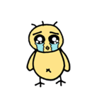 試作品ひよこ（個別スタンプ：5）