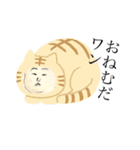 入道さま（個別スタンプ：17）