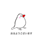 丁寧な白文鳥（個別スタンプ：1）