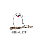 丁寧な白文鳥（個別スタンプ：4）